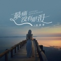陈婉菁 - 最痛没有眼泪