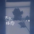 王娜 - 不敢结婚