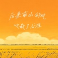 黑豆ado - 后来南山的风吹散了谷堆