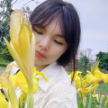 安松明