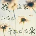 周唐韵 - 我这朵小花已开不出花朵