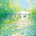 辛雯、诗人凉 - 零落死在雨下