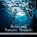 Ocean Waves for Deep Sleep - ocean rhythms for sleep