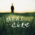 摘朵马兰你就走吧(空灵版)