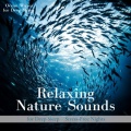 Ocean Waves for Deep Sleep - calming sleep waves