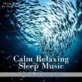 Ocean Waves for Deep Sleep、SLEEPY NUTS - Soothing music to listen to when you're sleepy