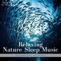 Ocean Waves for Deep Sleep - gentle ocean waves