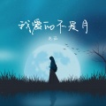 范茹 - 我爱的不是月