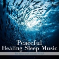 Ocean Waves for Deep Sleep、SLEEPY NUTS - Music for a good night's sleep