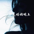 零叙 - 一个美好的晚上