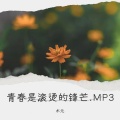 木元 - 青春是滚烫的锋芒.MP3