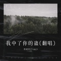 我中了你的蛊(翻唱)