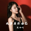 王小叶 - 太多身不由己