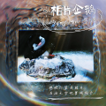 相片企鹅
