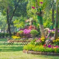 In The Garden (Explicit)