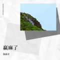 陈保才 - 赢麻了