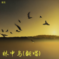 耿乐 - 林中鸟