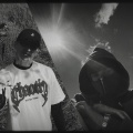 Dr.Y - Movement