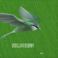 请你忘掉我的模样