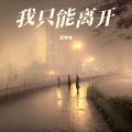 王学文 - 我只能离开