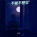 小阿杰 - 不能不想你