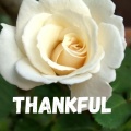 Thankful