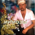 Andrei Zaicev - Мимозы