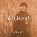 金钰双双 - 夜夜独买醉