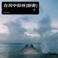 我无记忆 - 在风中释怀