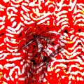 BEEF SQUASH (feat. kvxniaa!) [Explicit]