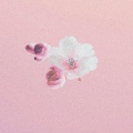Fliorr - She is