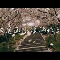 flybanana - 遥远小镇的我