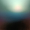 皆川 貴志 - No01942_무호흡증_Apnea
