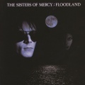 The Sisters Of Mercy - This Corrosion