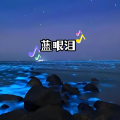 胡晓容 - 蓝眼泪 (Live)