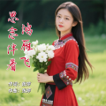 张婷 - 思念伴着鸿雁飞