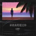 DJ阿兴 - 我曾用心爱着你