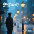 张则全 - 想你的雨