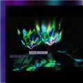 KITTY EXTREME - NEW BEGINNINGS