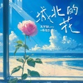 王宇宙Leto、乔浚丞 - 城北的花
