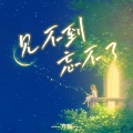 燕宝儿 - 见不到忘不了