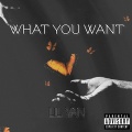 What You Want (Explicit)