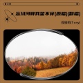 忘川河畔我望不穿(翻唱)