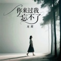 龙翼 - 你来过我忘不了