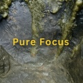 Pure Focus