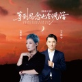 魏佳艺、王振宇 - 等到思念也会说话