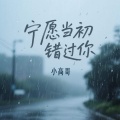 小高哥 - 宁愿当初错过你