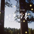 杨一琪 - 如果的事