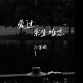 红蔷薇 - 爱过余生难忘