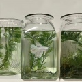 让烦恼过去